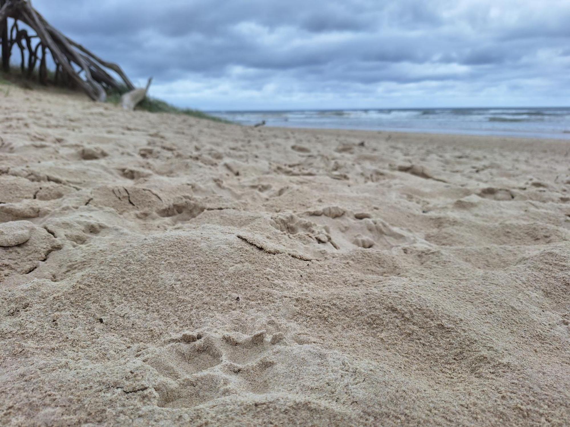 Ballina Beach Nature Resort Exteriér fotografie